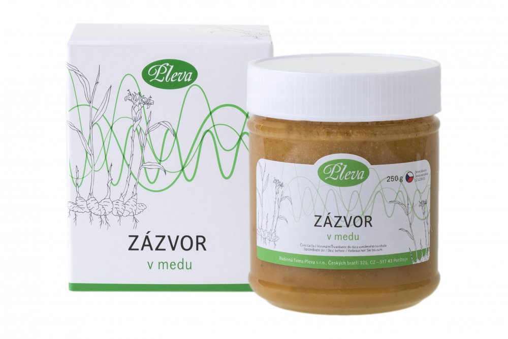Zázvor lékařský v medu