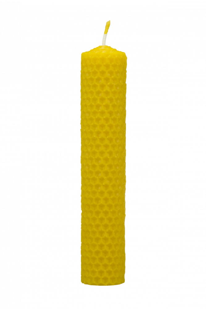 Svíčka ze včelího vosku Pleva, šíře 30mm výška 133mm